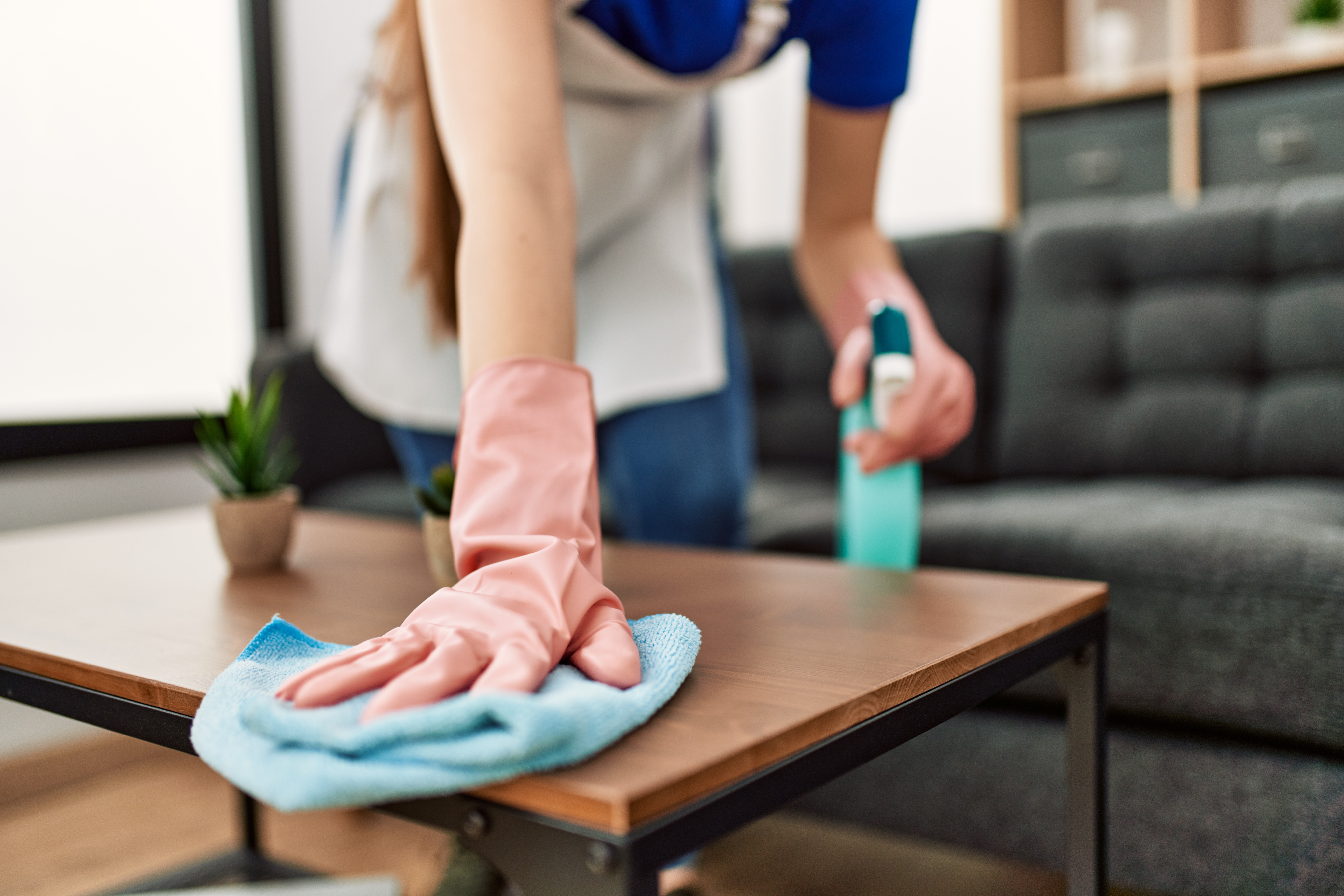 house cleaning newtown pa